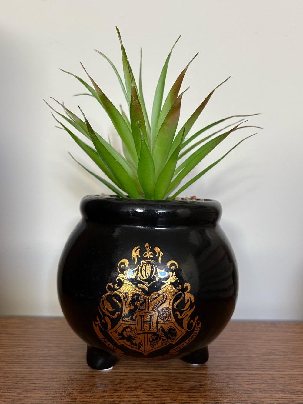 Harry Potter Hogwarts Cauldron 8-Inch Ceramic Planter With Faux Succulent